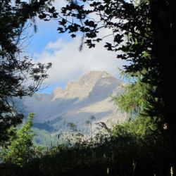 Point de vue